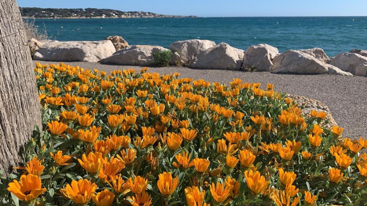 Les Appartements De La Marina Sanary-sur-Mer Buitenkant foto